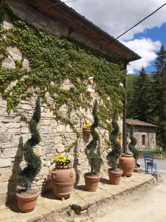 Bed & Breakfast La Fiaba Castellina in Chianti Exterior foto